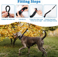 Mayerzon Martingale Dog Collar No Pull, Black, M | Neck Cir 14.5"-18.5"