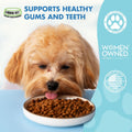 LIQUID-VET Advanced Teeth & Gums Supplements for Dogs | Dental Care for Dogs | Oral Mouth Care | Tartar + Plaque + Gingi