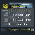 Galápagos (05074) Walnut Bedding Natural Crushed Walnut Shell Substrate - Ideal for Bearded Dragons, Reptiles, Birds, & 