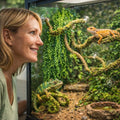 HERCOCCI Reptile Vines, Flexible Jungle Climbing Vines Terrarium Plastic Plants and Leaves Tank Accessories Decor for Ge