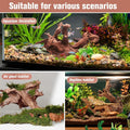 Natural Aquarium Driftwood Fish Tank Decorations Reptile Decor