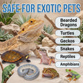 Lunza Reptile Eye Drops 30ml, Cleanses & Moisturizes, for Bearded Dragons, Turtles, Snakes, Lizards & Amphibians, with M