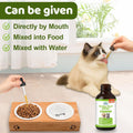 Natural Yeast Infection Itch Relief for Dogs and Cats | Itchy Skin, Ear & Allergy Symptoms Treatment | Reduces Inflammat