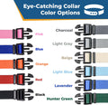 GoTags Personalized Dog Collar, Custom Embroidered Pet ID Dog Collar with Pet Name and Phone Number, Adjustable with Qui