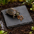 Turtle Basking Platform Slate for Reptiles 3.9 X 3.9 Inch Tortoise Basking Stone for Reptiles Bearded Dragon Accessories