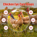 Chickens Eye Care Drops for Chickens, Ducks & Birds – Improve the Eye Health – Improve Egg Quality – Supports Clear Visi