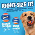 Chuckit! Cannon 16S Dog Ball Launcher, 16 Inch Size, Includes 4 Balls Total