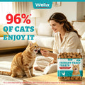 Wellix 13.5oz Urinary Tract Health Supplement Cat Treats for Indoor Cats - Chicken Flavor Kitten Snacks for Support Kidney Bladder & Urinary Health Cat Training