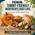 Rawhide Free Dog Chews | Ribbed Bones | for Medium - Large Dogs | Pumpkin, Psyllium Husk and Chicory Root for Easy Diges