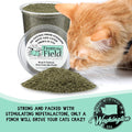 from The Field | Fine Ground Stalkless Catnip | Premium USA-Grown Catnip for Toys & Playtime | Fresh, Potent, Non-Toxic, Eco-Friendly | Safe for Kittens & Cats | Resealable 10 Oz Bag