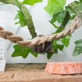 Hermit Crab Climbing Toys, Reptile Rope Ladder Supplies, Tank Aquarium Terrarium Vines Accessories, Habitat Decor for Lizards Geckos Snakes Bearded Dragon