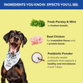 The Pets Table Dental Chews for Dogs 28 Sticks (20 oz), Chicken, Mint & Parsley | Dental Treats/Teeth Cleaning Chews | Removes Plaque and Tarter | Dental Sticks for Bad Breath Treatment | Dental Bones