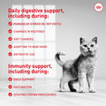 Royal Canin Probiotics for Cats Digestive and Immune Health Powder Supplement for Cats of All Ages, 30 Count