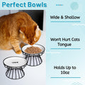Wellbro Cat Bowls, Elevated Cat Bowl, Raised Ceramic Dish with Metal Stand, Pet Water or Food Feeding Station for Indoor Cats, Kitten, Puppies and Small Dogs, Dishwasher Safe