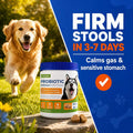 Probiotics for Dogs – Probiotic Chews with 4.8 Billion CFU, Digestive Enzymes & Pumpkin | Dog Gut Health Supplement for Diarrhea, Gas & Sensitive Stomach | Soft Chews for Senior Dogs & All Breeds