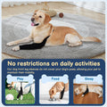 BARKLESS Dog Leg Sleeve for Front Single Leg After Surgery to Stop Licking