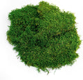 SuperMoss (21511) Sheet Moss, 175 cu in, Preserved