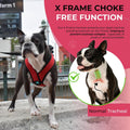 Gooby Comfort X Head-in Dog Harness, Choke-Free, Red, Small