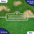 Turf Titan K9 Correcter Dog Urine Neutralizer for Lawns (32 oz) – Fights Yellow Spots and Odors – Grass Dog Urine Neutralizer to Grass Recovery with Weekly Use – Covers Up to 6,000 Sq Ft