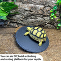 Reptile Basking Platform 6.0in Rock Plate Food Bowl Slate for Tortoise