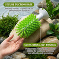 Turtle Cleaning Brush & Feeding Ball Kit, Aquatic Tortoise Tank Accessories