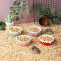 VanEnjoy 2 Pack Hamster Food Bowl Small Ceramic Water Food Bowl for Cage Small Animal Bowls for Hamster Guinea Pig Chinc