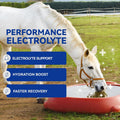 Horse Electrolytes Powder, Electrolyte for Horses with Sodium & Potassium, Equine Hydration Supplement 420g