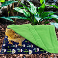 Bearded Dragon Bed with Pillow Lizard Sleeping Bag Blanket Soft Warm Hideout Terrariums Accessories for Reptile Lizard B