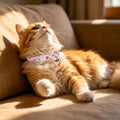 LIONET PAWS 2 Pack Breakaway Cat Collars, Cute Soft Cotton Pink Strawberry & Blueberry Kitten Collars with Bell for Boy Girl Cats