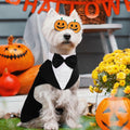 PUMYPOREITY Small Dog Bowtie Tuxedo Suit, Cat Tuxedo & Bandana Set for Chihuahua, Boston Terrier, Bichon, Corgi, Pomeranian, 2 Pieces/Pack, S, Black