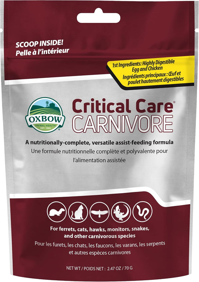 Oxbow Critical Care Carnivore, Recovery Food For Cats & Ferrets, USA, 70 g
