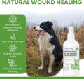 Chew + Heal Labs Hypochlorous Acid Spray for Dogs – Dog Wound Spray for Cuts, Burns, Sores, Abrasions, and More – Non Toxic and Chemical Free HOCI Wound Care – Made in The USA, 4 oz
