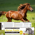 6 Pack Equine Paste 1.87% – 6.08g Each Apple Flavored Oral for Horse