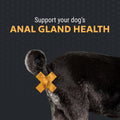 Nutramax Filaquin Anal Gland Supplement for Dogs, from The Same Company as Cosequin & Proviable, with Pre & Postbiotics and Psyllium Husk Fiber to Support Anal Gland Health, 90 Count Soft Chews