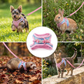 cobee Adjustable Bunny Harness and Leash Set, Rabbit Breathable Harness