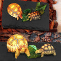 kathson 2 PCS Reptile Basking Platform (15.7 x 11.8 inches), Natural Rock Plate Turtle Food Bowl Feeding Dish Resting Te