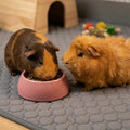 Guinea Pig Cage Liner, 49"x24" Bedding for Midwest Cage 2 Pack, Mushroom