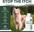 Chew + Heal Labs Hydrocortisone Lotion for Dogs - 4 oz Anti Itch Cream for Irritated Skin, Flea Bites, Itching, and More - Made in the USA