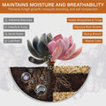 NUPICK 1-2mm Coarse Sand for Plants, 6lb Horticultural Sand for Succulents
