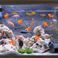 Sumind 15 Pcs Fake Goldfish Plastic Floating Artificial Goldfish for Tank
