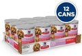 Hill's Science Diet Puppy Sensitive Stomach & Skin Wet Dog Food, Salmon & Vegetable Stew, 12.5 oz. Cans, 12-Pack