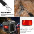 Ramalto Foldable Dog Bike Rear Basket with Safety Leash & Padded Liner, Pet Carrier for Small to Medium Dogs & Cats up to 22 lbs, Quick-Install Rear Bicycle Carrier for Travel