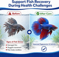 Aquarium Fish Care, Emergency Fish Tank Supply, 250mg, 50 Counts