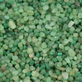 MSI Wonderfill Green 12 x 20in. Synthetic Turf Adhesive Pack of 10