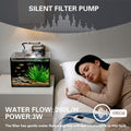 2.5 Gallon Nano Aquarium Kit, Glass Small Fish Tank Starter Kit with Light, Filter, Gravel Rock,Lid. Ultra Clear Rimless
