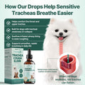 Collapsed Trachea Treatment for Dogs, Trachea Cough Elixir, Dog Cough Treatment –Natural Herbs Respiratory Support, Prom
