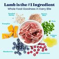 Solid Gold Lamb Dry Dog Food for Adult & Senior Dogs, Probiotics, 24LB