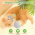 Rishoesu 3 Pcs Interactive Cat Toys Cat Pillows, Soft and Durable Crinkle Sound Catnip Toys, for Indoor Cats Funny Kitte