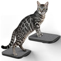 PELUOMOZ Grey Sisal-Padded Cat Wall Steps (2-Pack), Floating Wooden Cat Perch and Climbing Step Set, Wall Mounted Furniture for Jumping & Play