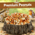 Trailmark Naturals - 3 LB - Raw Shelled Peanuts For Squirrels, Out of Shell Peanuts For Birds and Wildlife- Squirrel Food, Wild Bird Seed - Grown in The USA